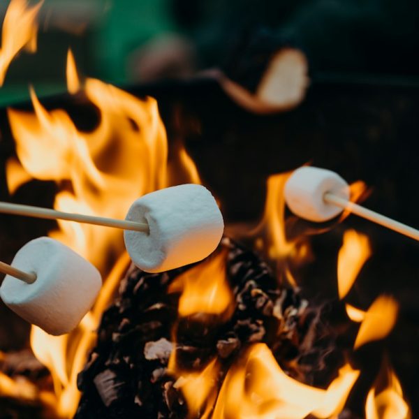 Campfire Cookware Set