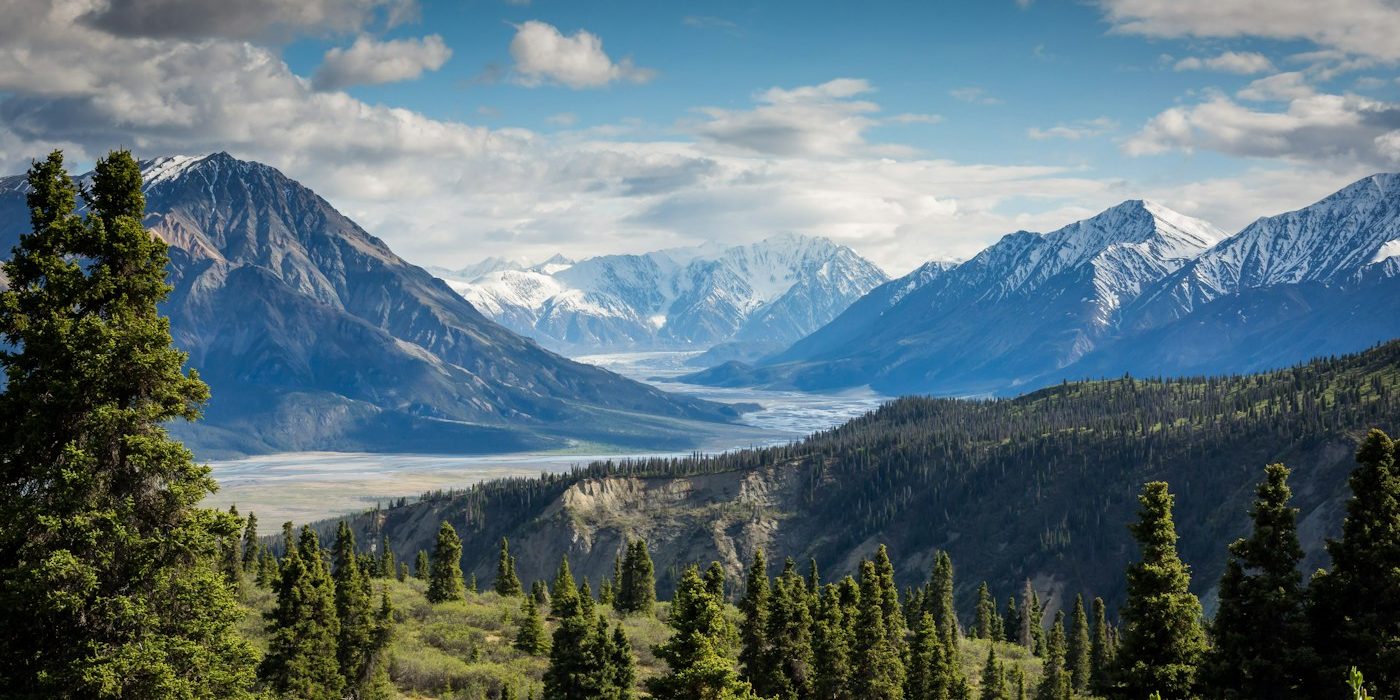 Leave No Trace basics for trails and campsites