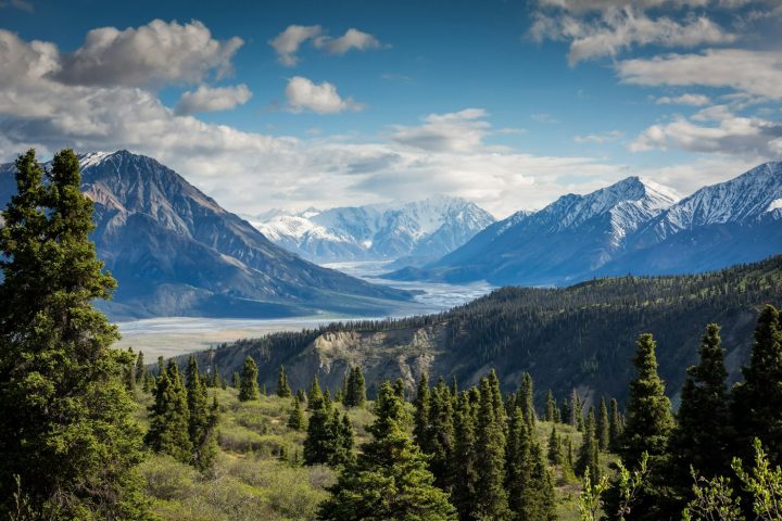 Leave No Trace basics for trails and campsites
