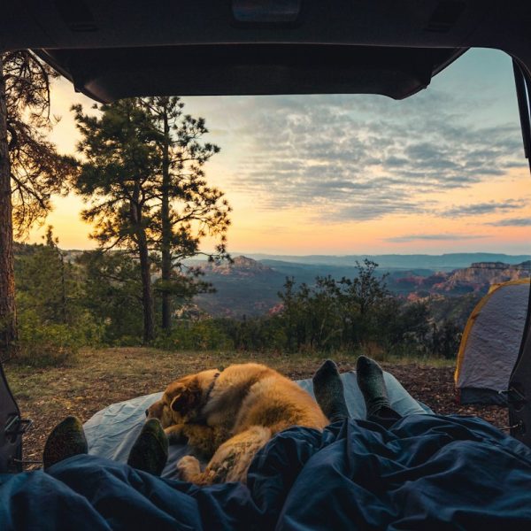 Road Trip Organizer