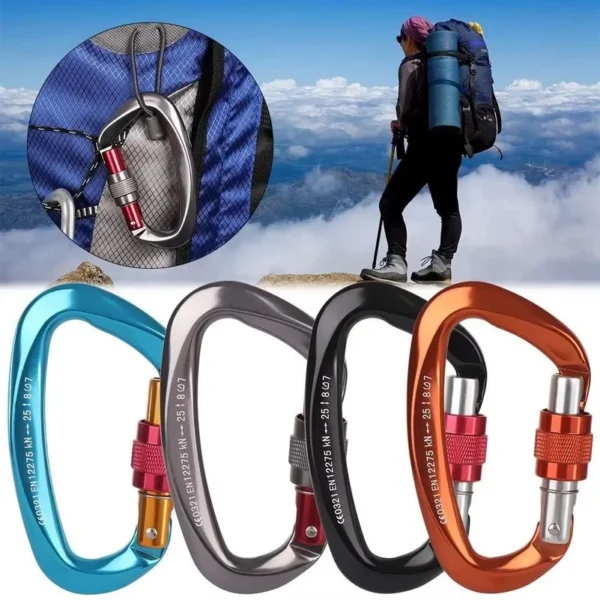 Silver aluminum locking carabiner with a D shape body and screw lock gate on a white background